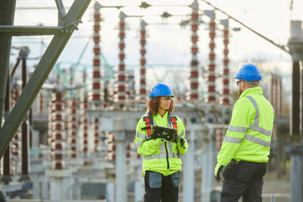 Best Electrical System Inspection  in Flora, MS
